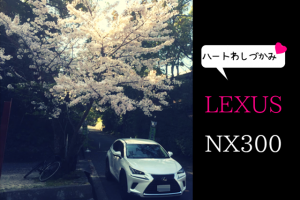 レクサスNX300と桜の写真